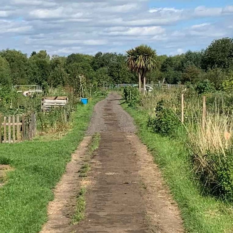 Cowmead Allotments